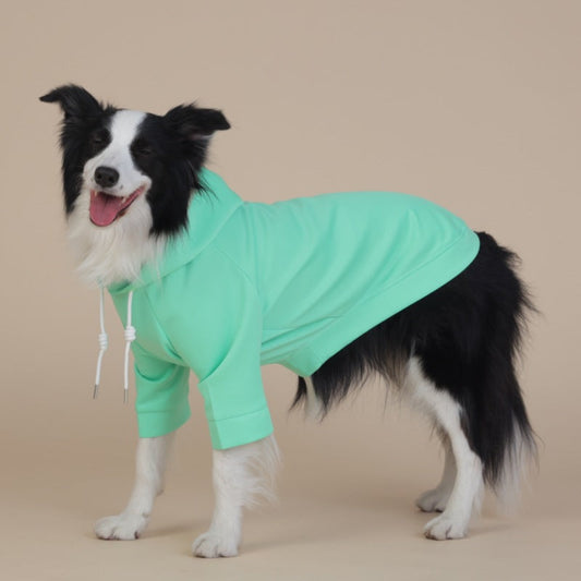 Classic Dog Hoodie – Green